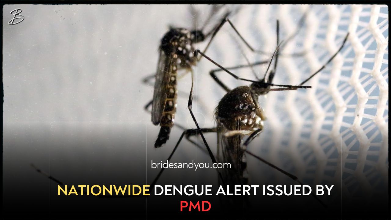 PMD issues nationwide dengue alert amid rising cases