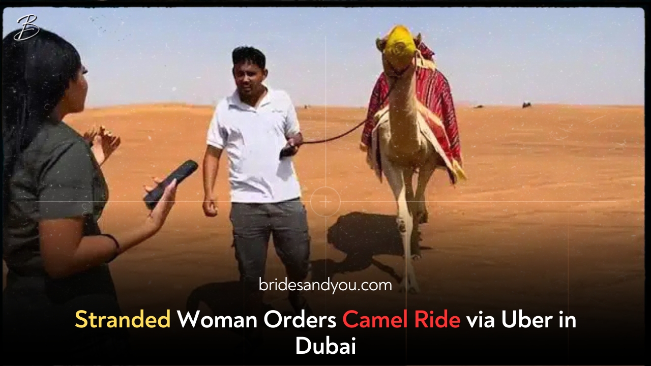 Stranded Woman Orders Camel Ride via Uber in Dubai