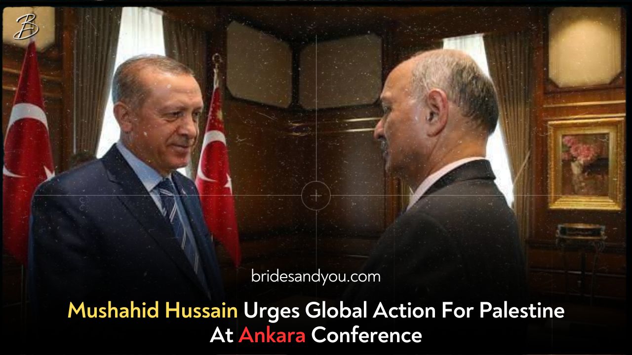 Mushahid Hussain Urges Global Action For Palestine At Ankara Conference