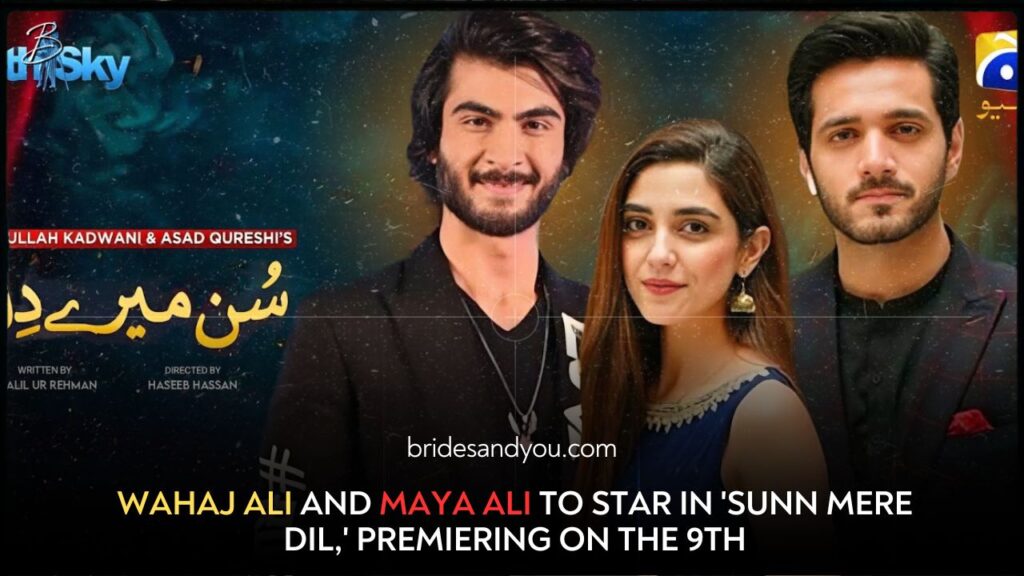 'Sunn Mere Dil' with lead role of Wahaj Ali, Maya Ali to be aired from 9th