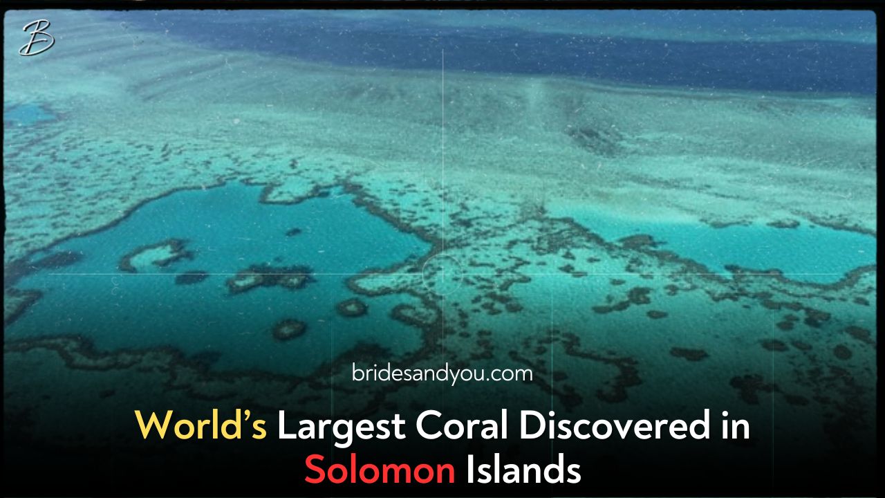 Discovery of the World’s Largest Coral: A Monumental Step for Marine Conservation