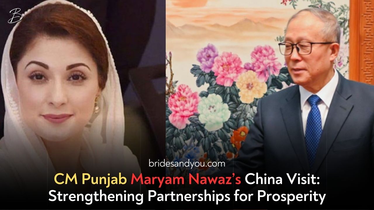 Strengthening Economic Ties – Punjab's Successful Mission in Shanghai