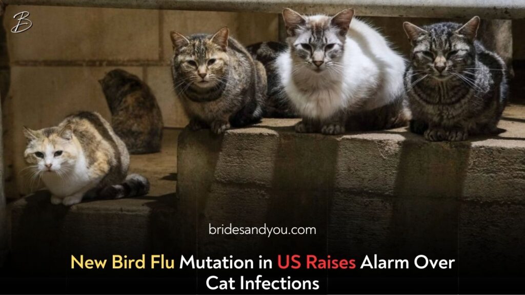 Bird Flu Outbreak Raises Concerns Amid New Mutations