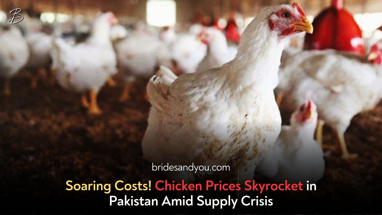 Chicken Prices Soar in Pakistan Amid Alleged Shortage: A Wedding Season Woe
