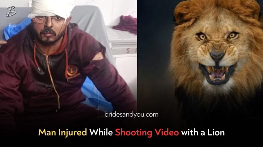Man Severely Injured While Filming Video with Pet Lion at Lahore Breeding Farm