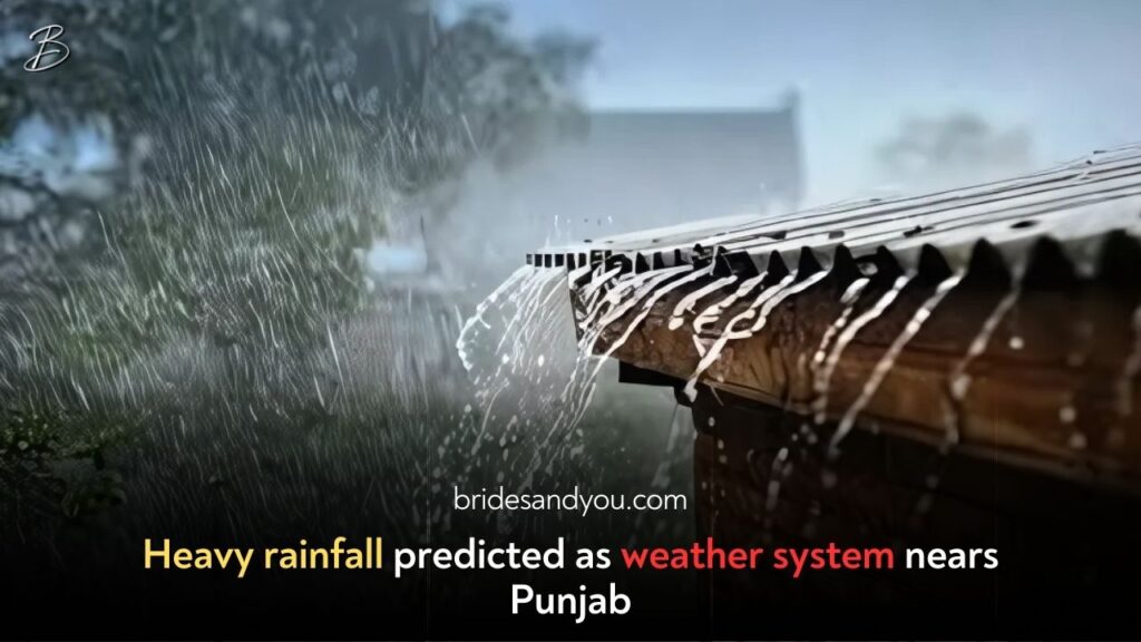 Rain and Cold Wave Alert: Punjab Braces for Heavy Rainfall and Intense Fog