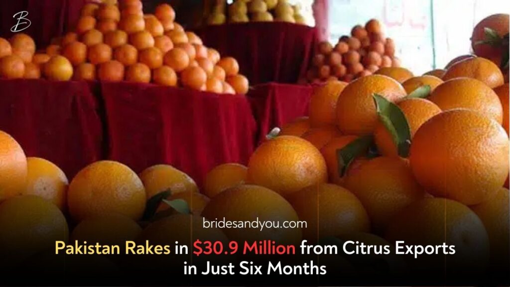 Pakistan’s Citrus Exports Reach $30.9 Million in Six Months