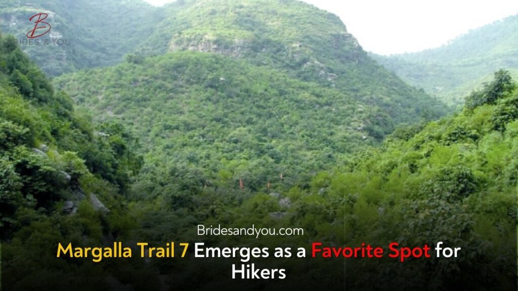Discover the Hidden Gem of Islamabad: Trail 7 in Margalla Hills National Park