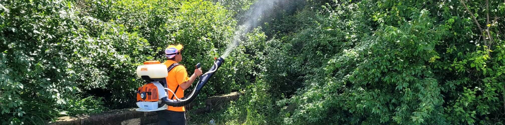 Mosquito Spray Tips for a Bug-Free Marshfield, MA