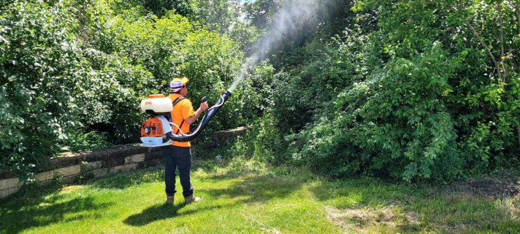Mosquito Spray Tips