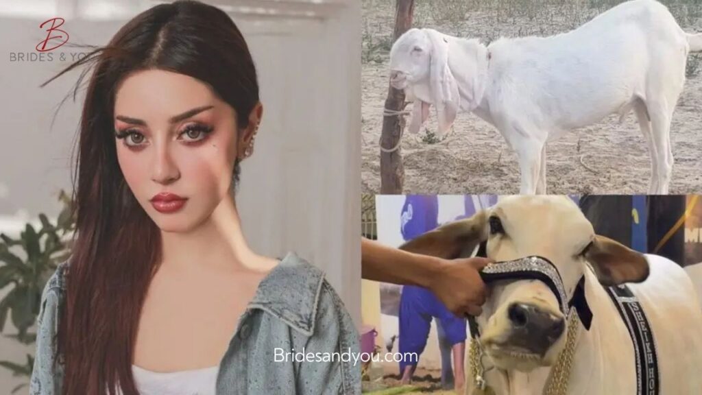 Alizeh Shah Qurbani