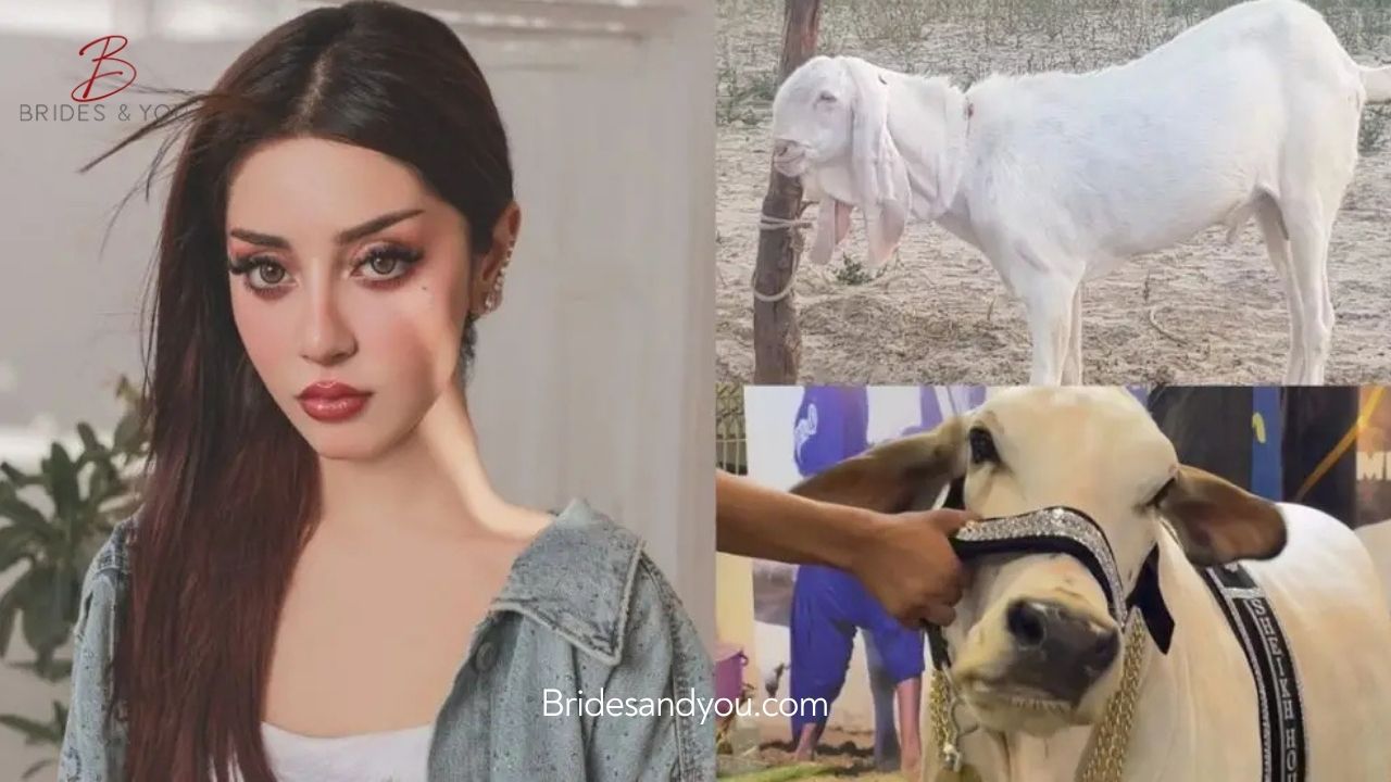 Alizeh Shah Qurbani