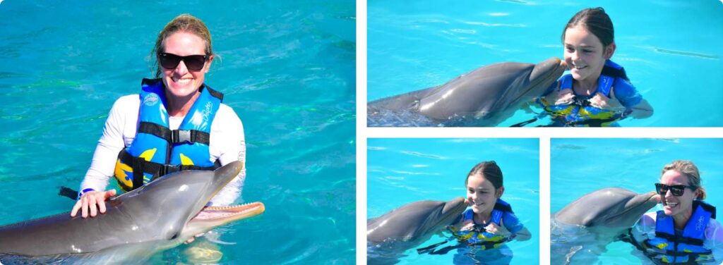 Dolphin-Discovery