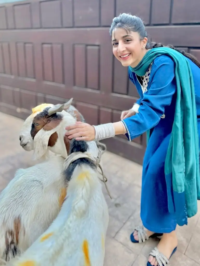 Mawra Hocane Eid ul Azha Photoshoot