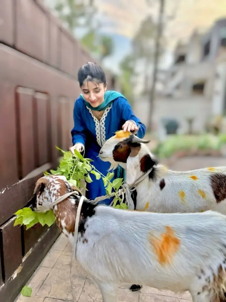 Mawra Hocane Eid ul Azha Photoshoot
