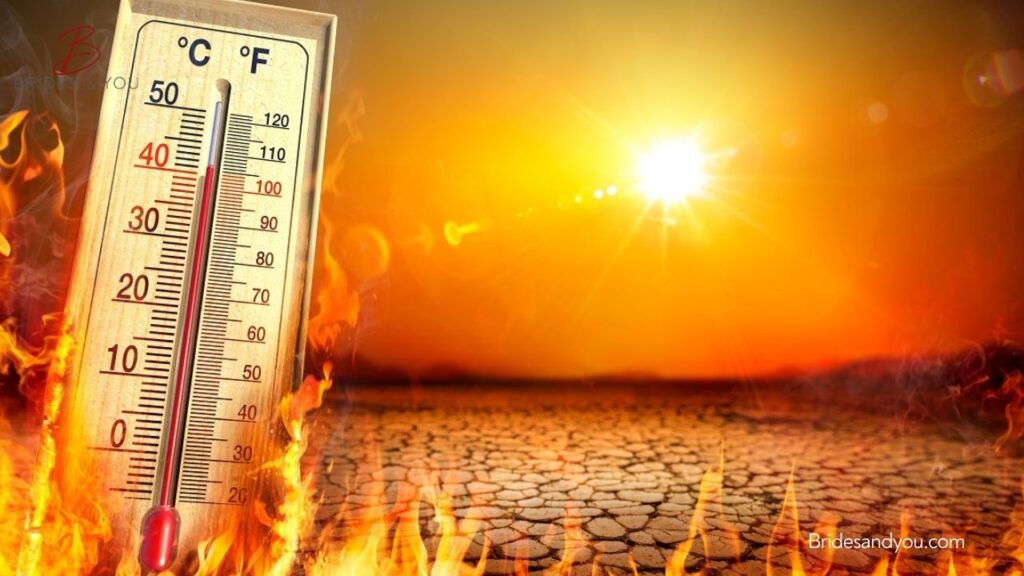 Heatwave in Multan: Citizens Suffer as Tree Cutting Worsens Climate Crisis