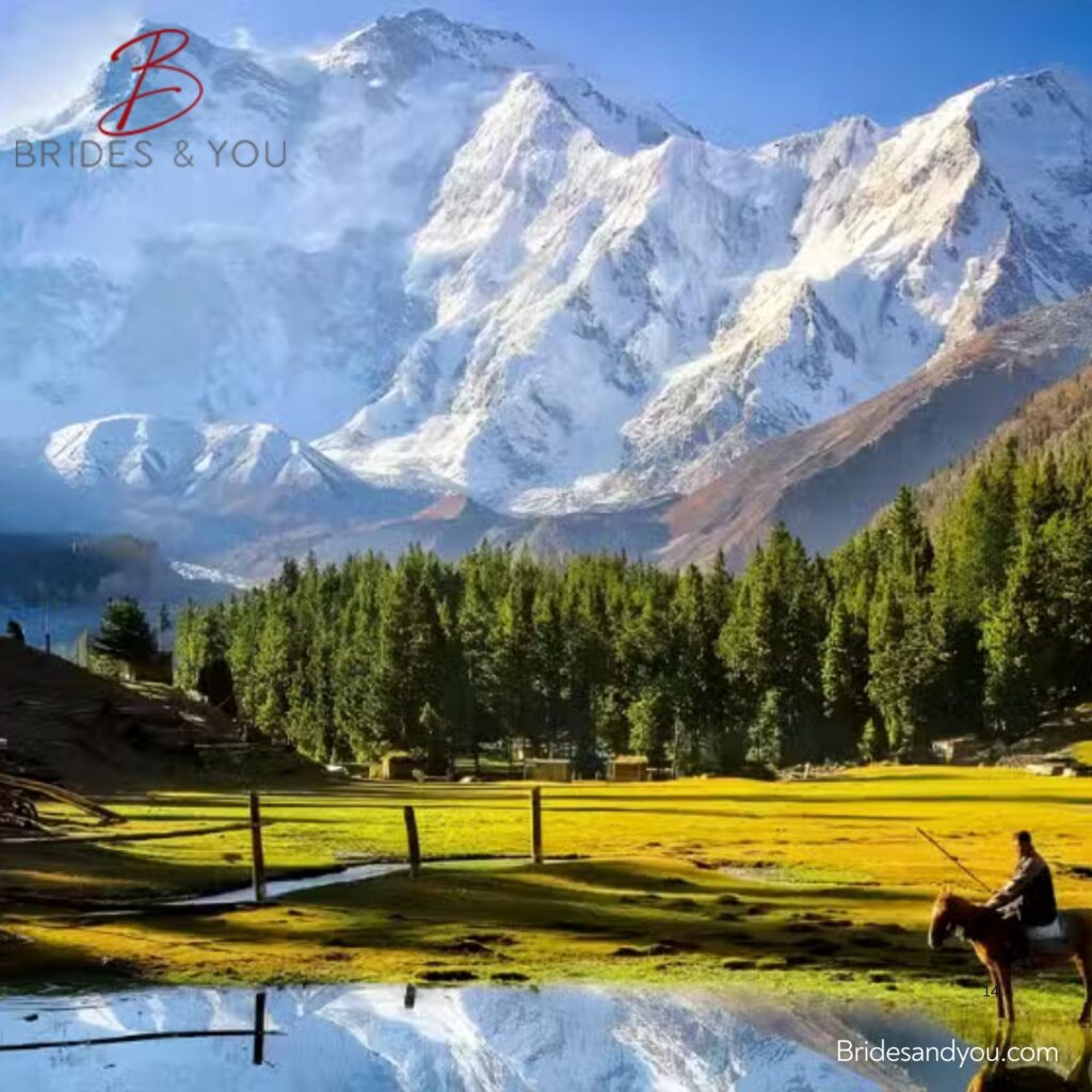 Online NOC System for Foreign Tourists