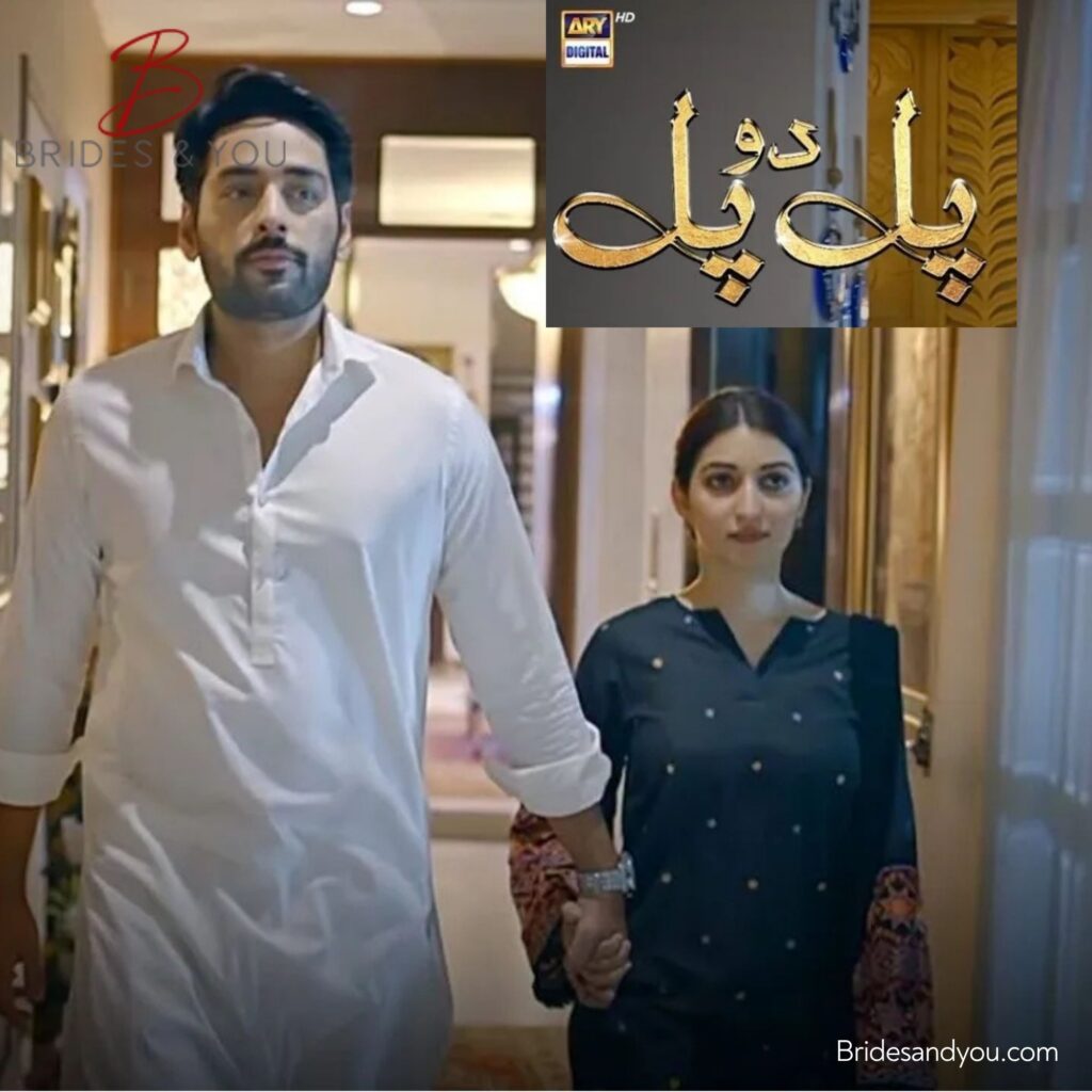 Pal Do Pal Drama Cast, Schedule & Airing Time on ARY Digital