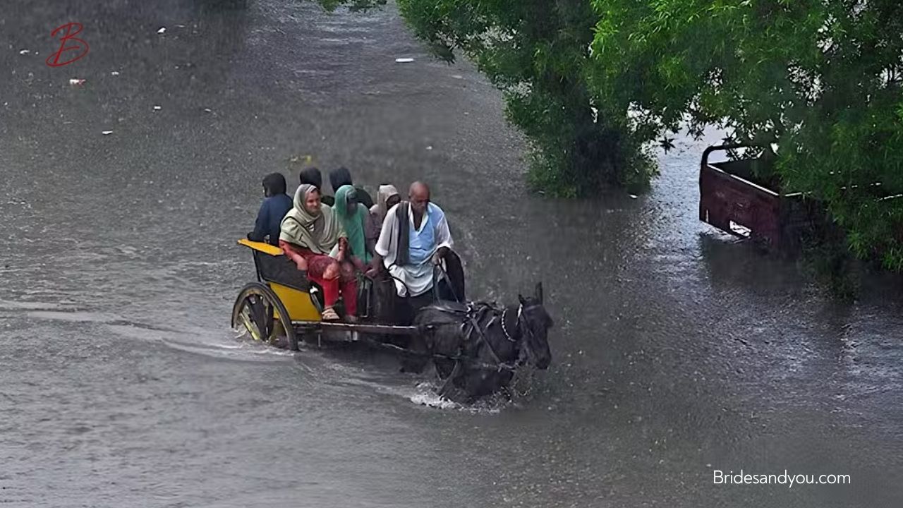 Heavy Rainfall in Punjab and KPK