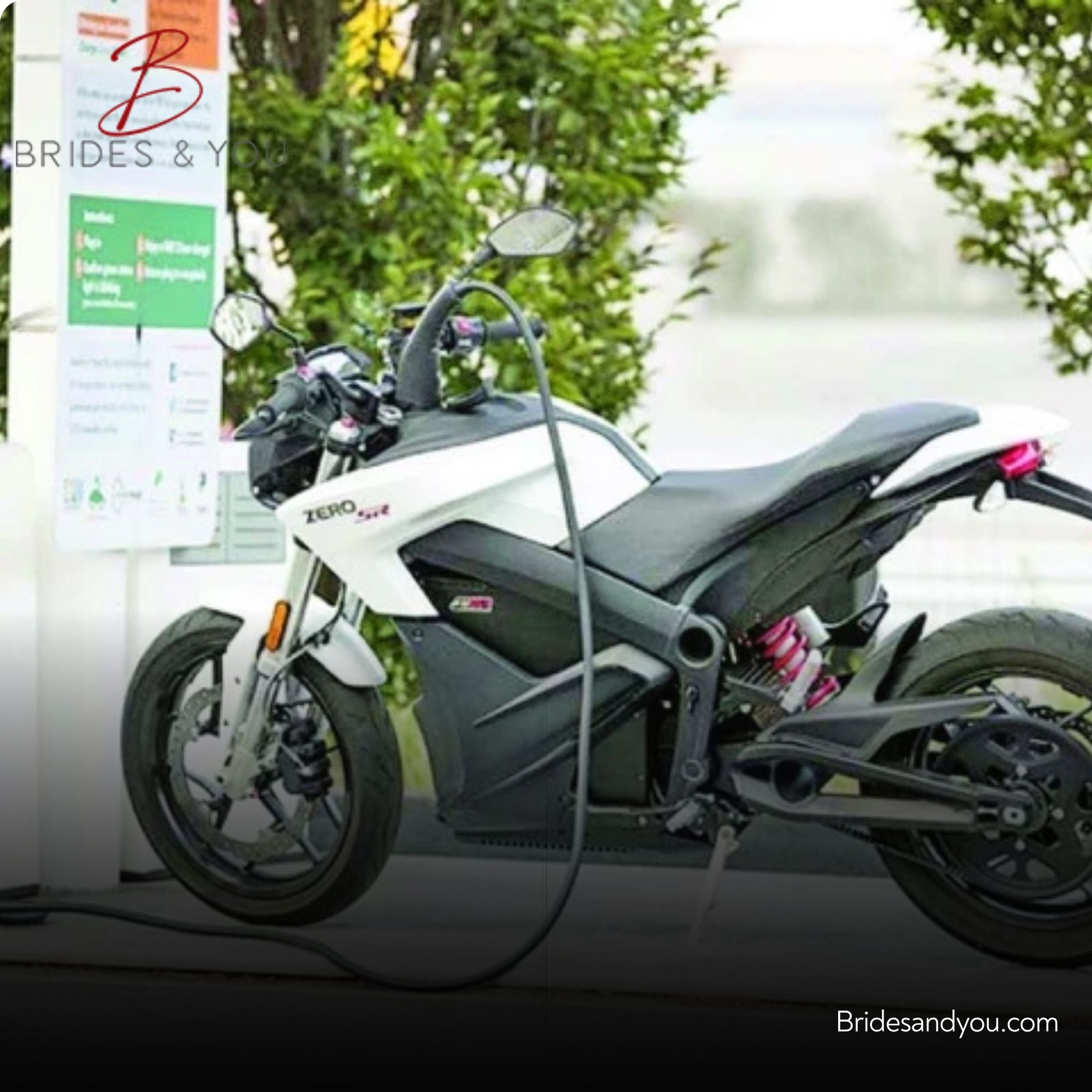 Electric Vehicle Scheme