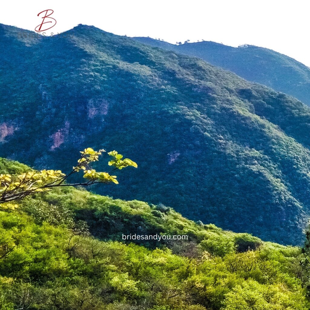 Islamabad Hiking Trails Closure