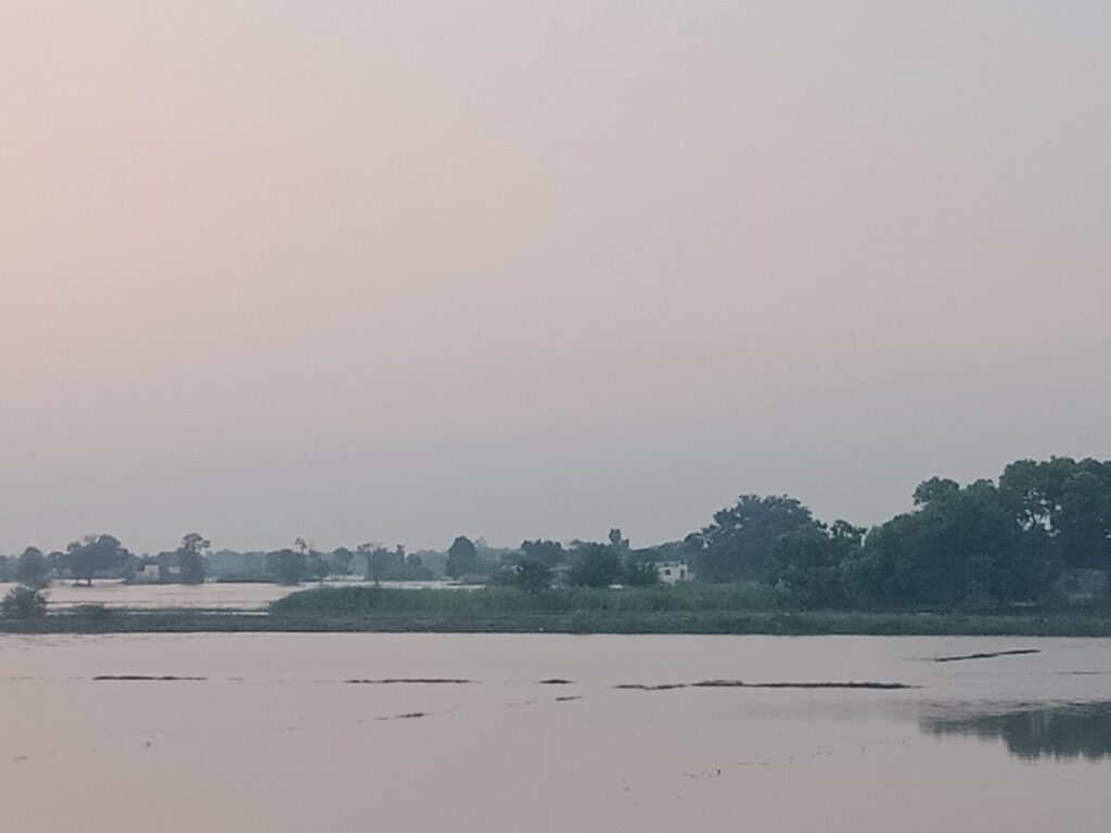 latest flood situation in Jhang Chenab River