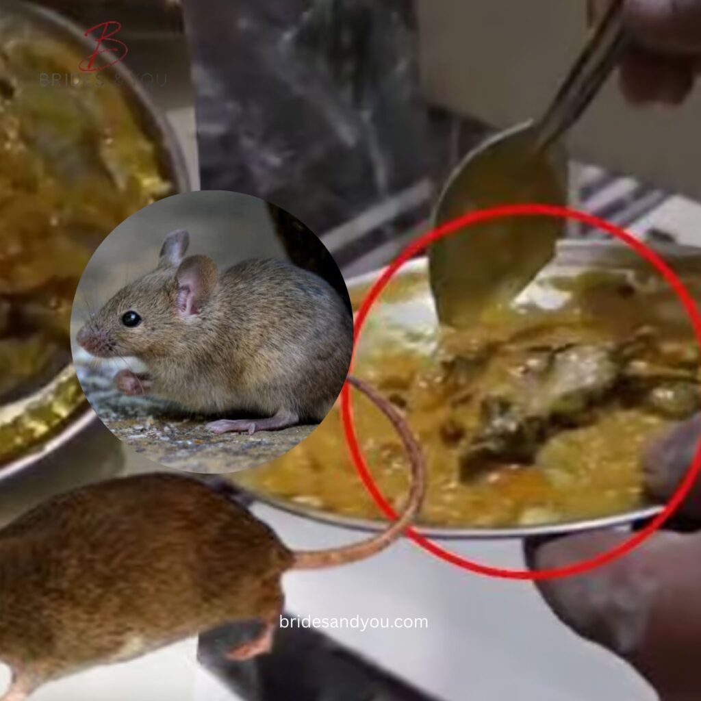Dead Rat in Curry