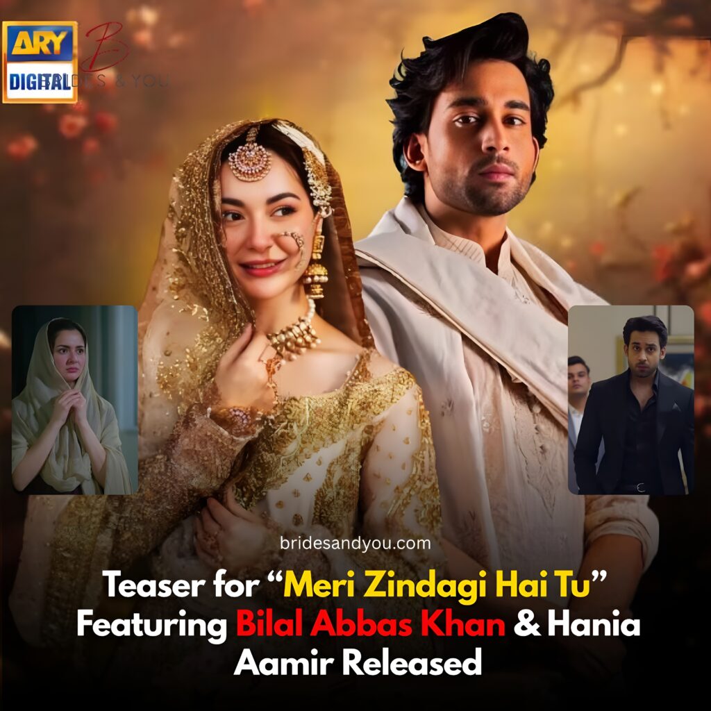 Meri Zindagi Hai Tu