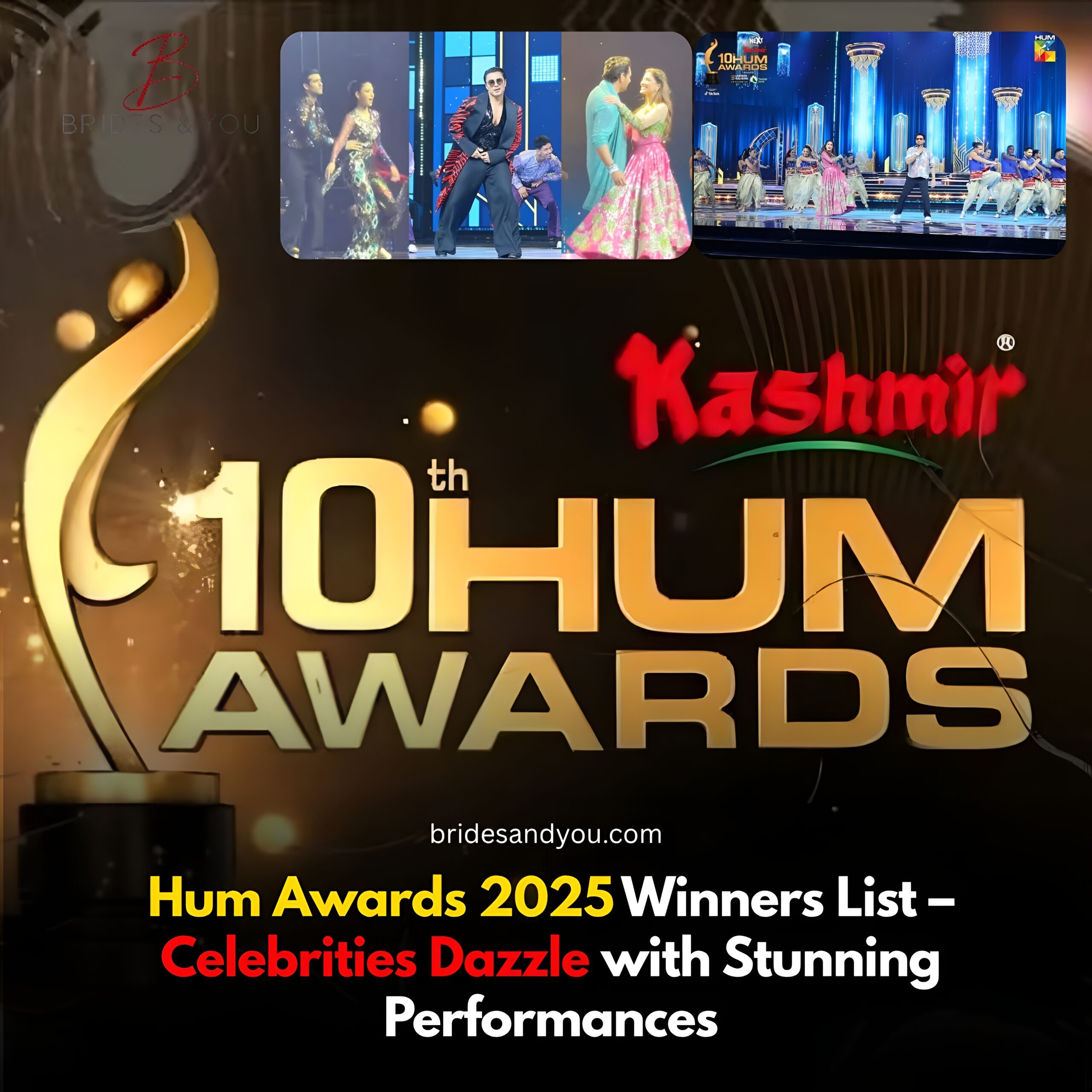 Hum Awards 2025 Winners List