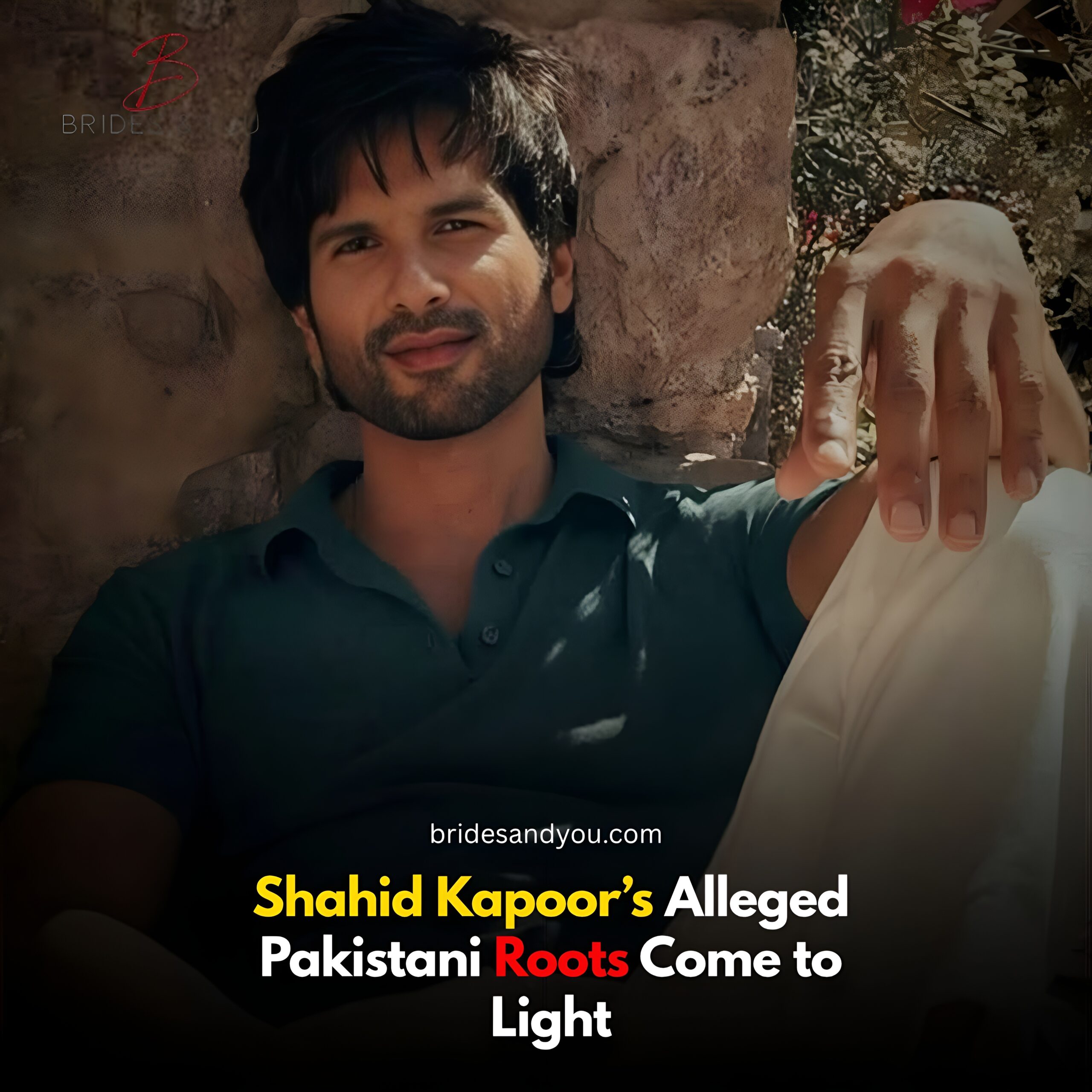 Shahid Kapoor’s Pakistani background