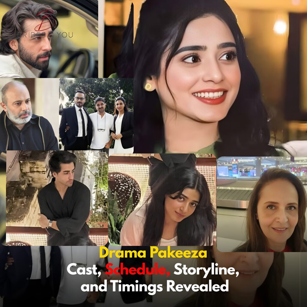 Pakeeza drama cast