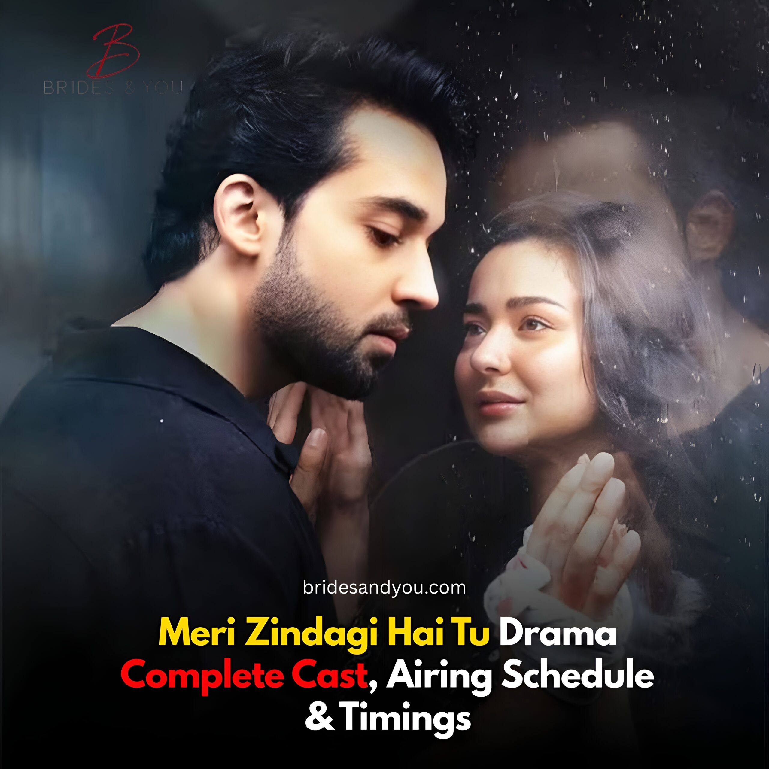 Meri Zindagi Hai Tu
