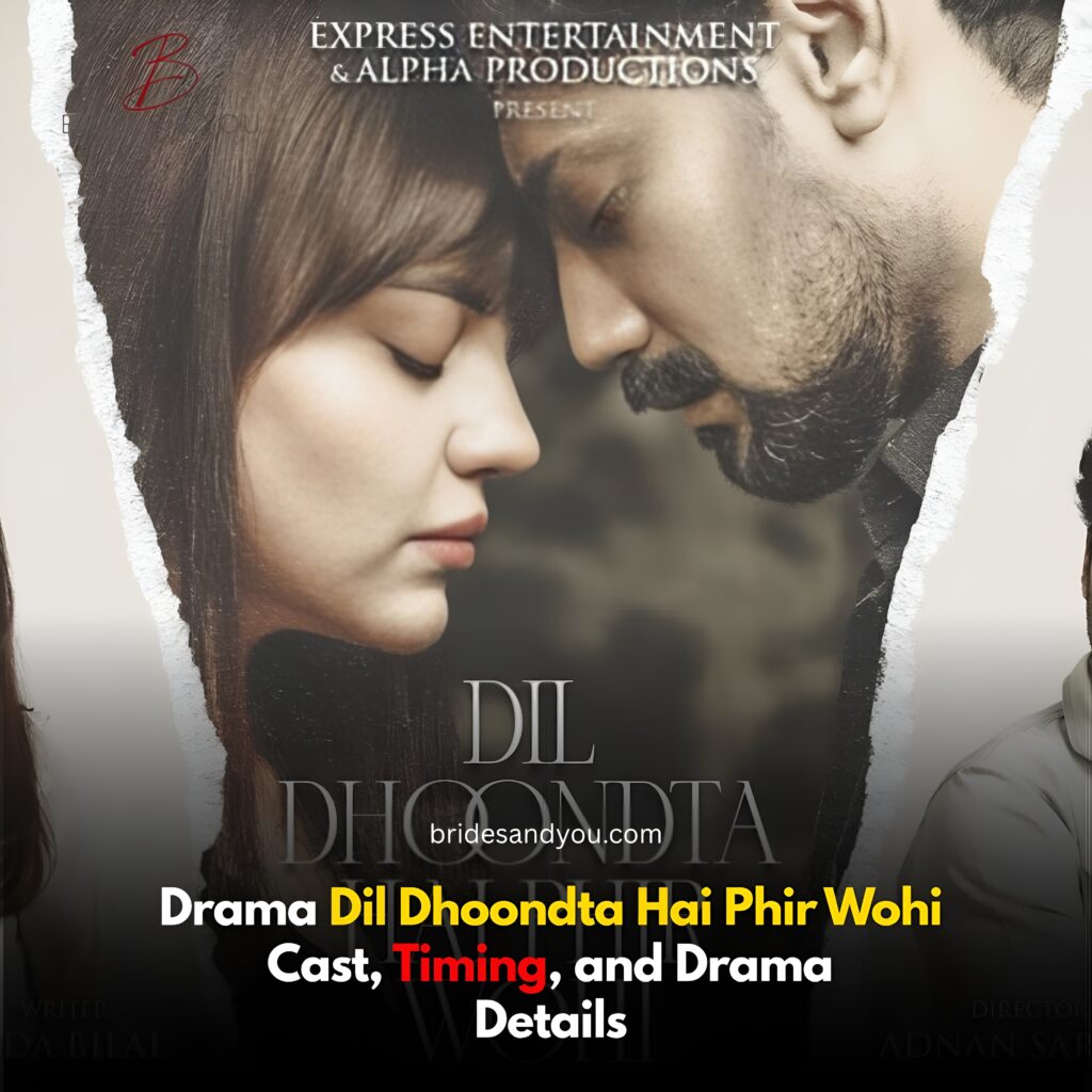 Dil Dhoondta Hai Phir Wohi Drama cast