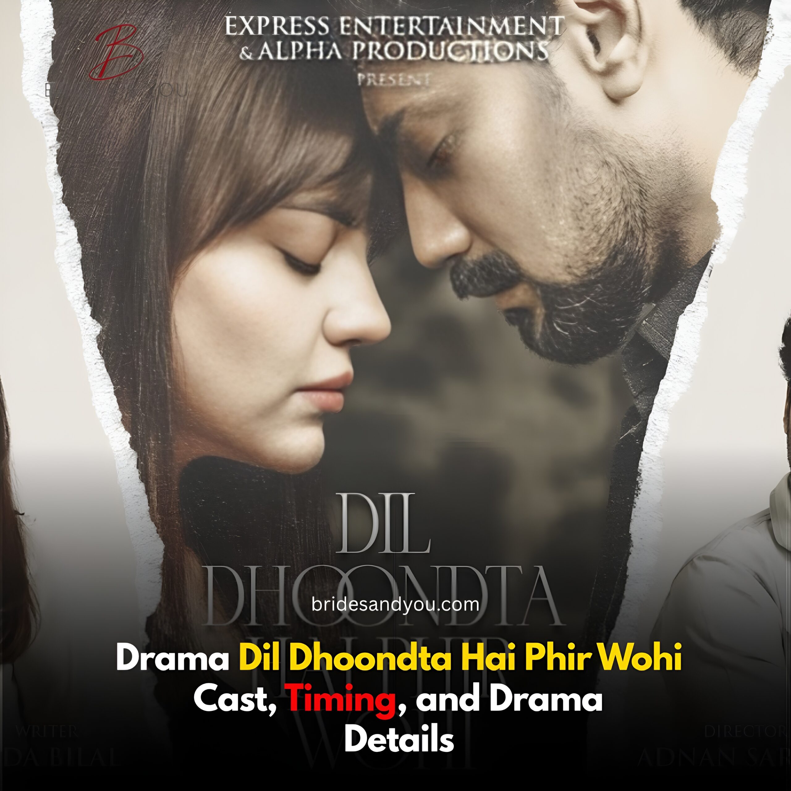 Dil Dhoondta Hai Phir Wohi Drama cast