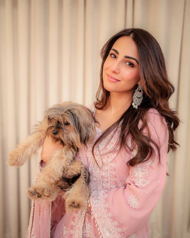 animal cruelty in Punjab