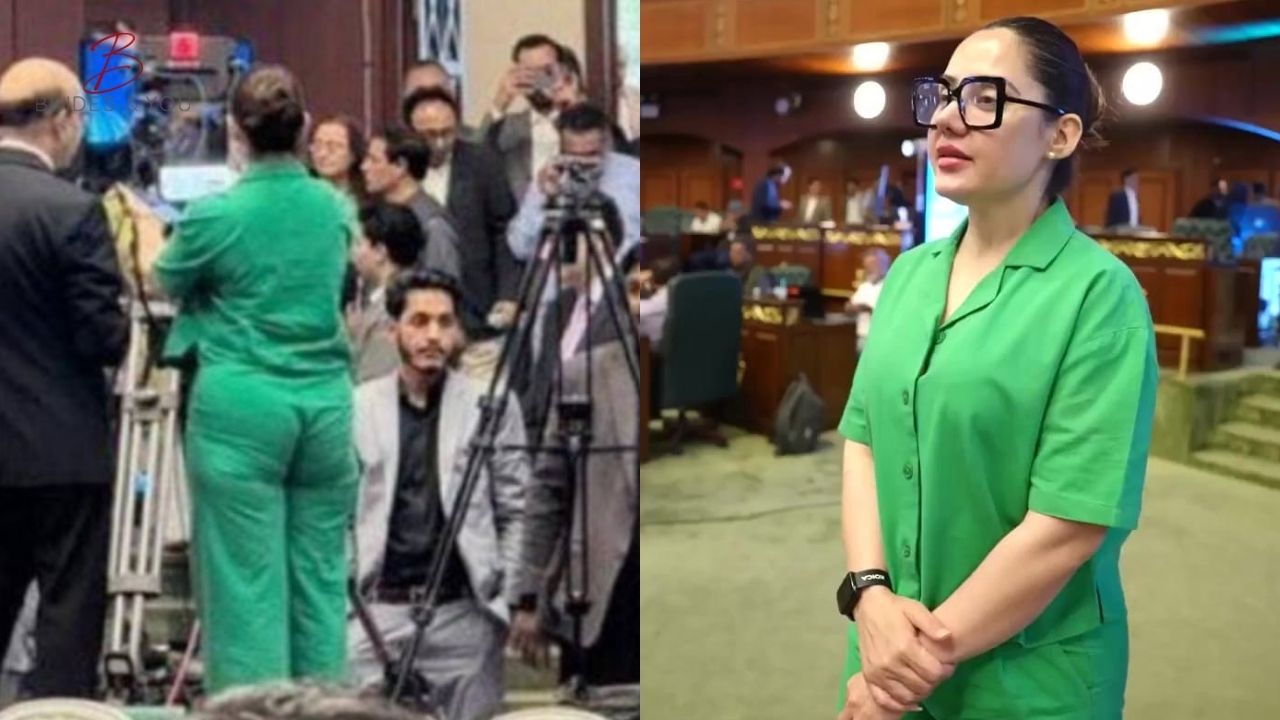 Gharidah Farooqi outfit