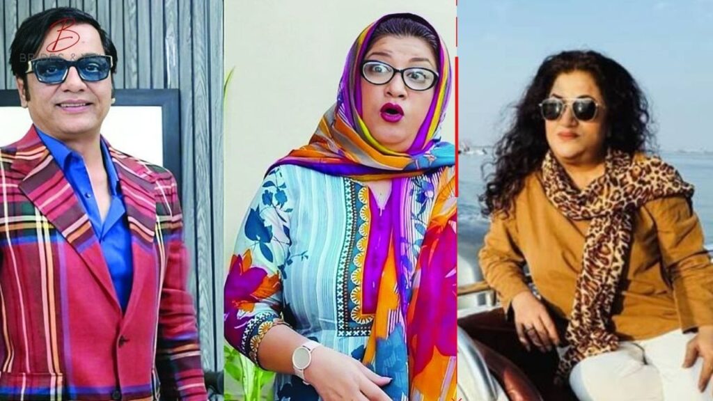 Hina Dilpazir iconic roles