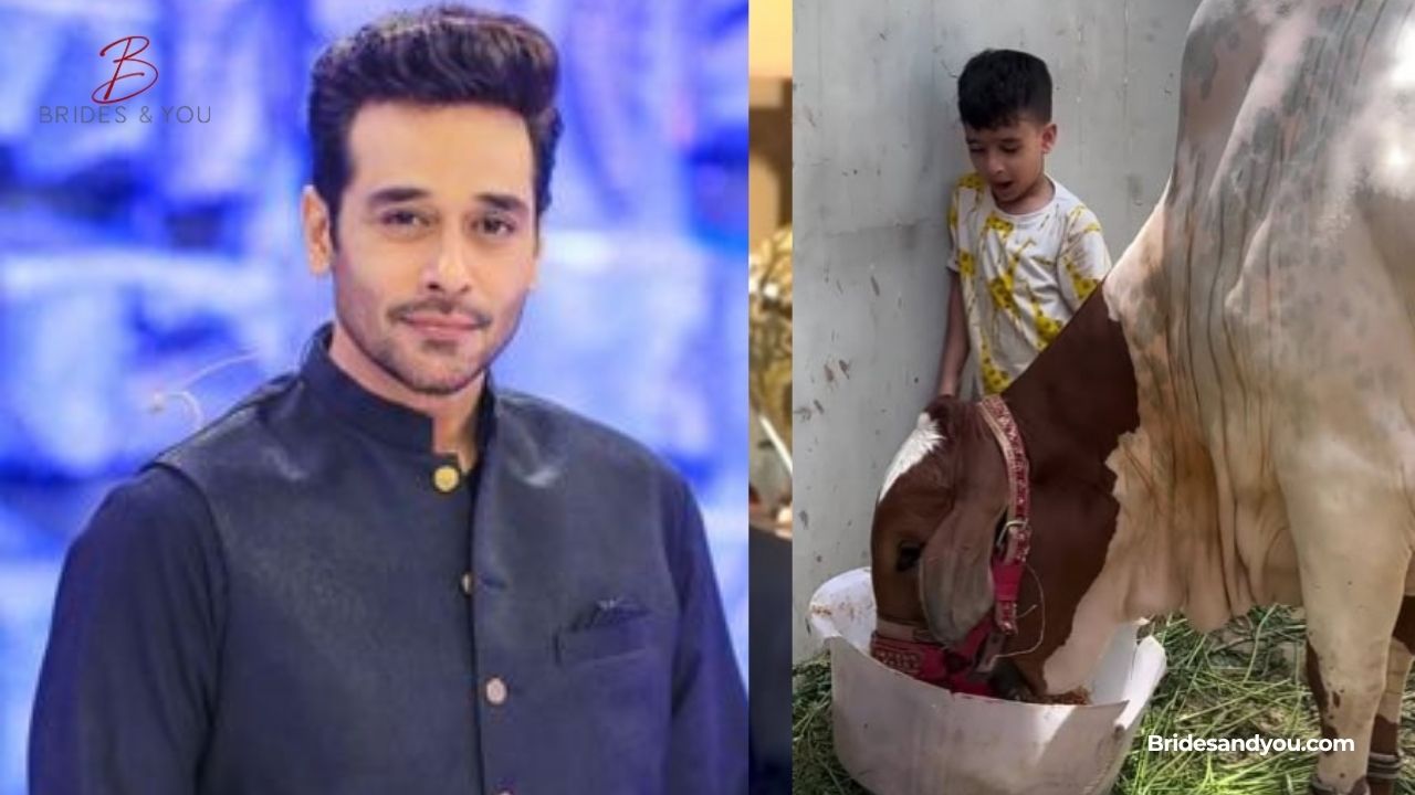Faysal Quraishi Son Trauma