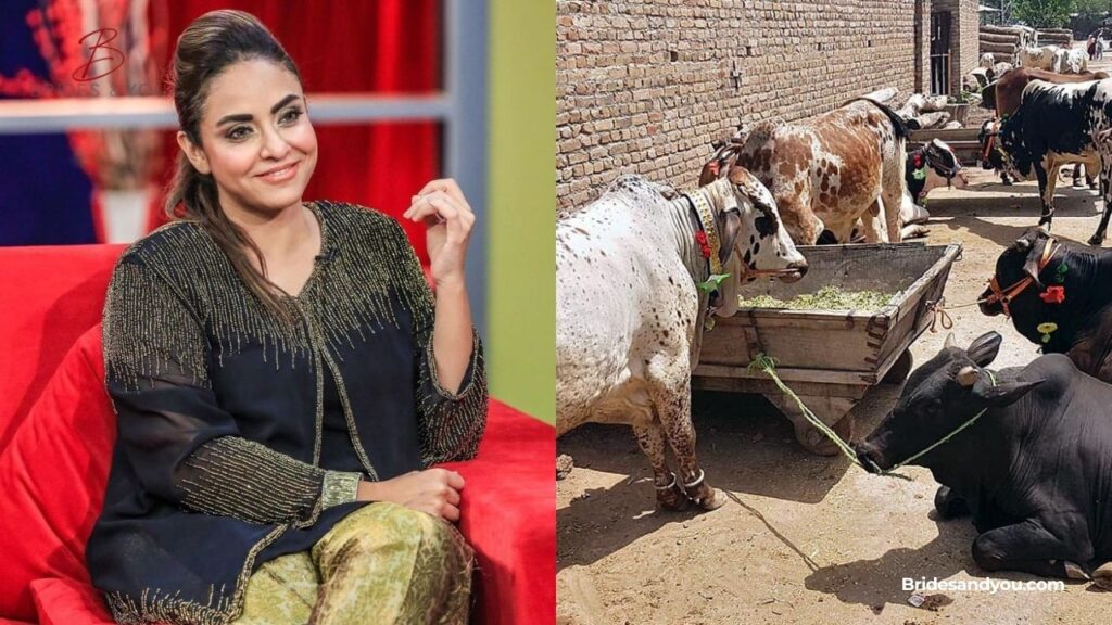 Nadia Khan Qurbani Statement