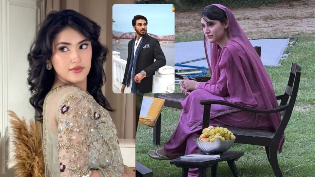 Sahar Hashmi Upcoming Drama