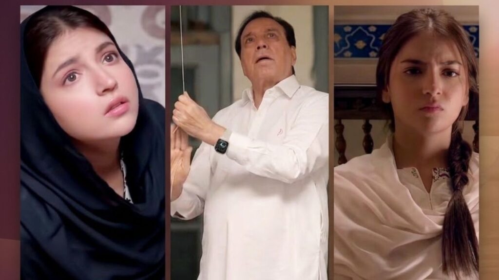 Dananeer Mobeen upcoming drama