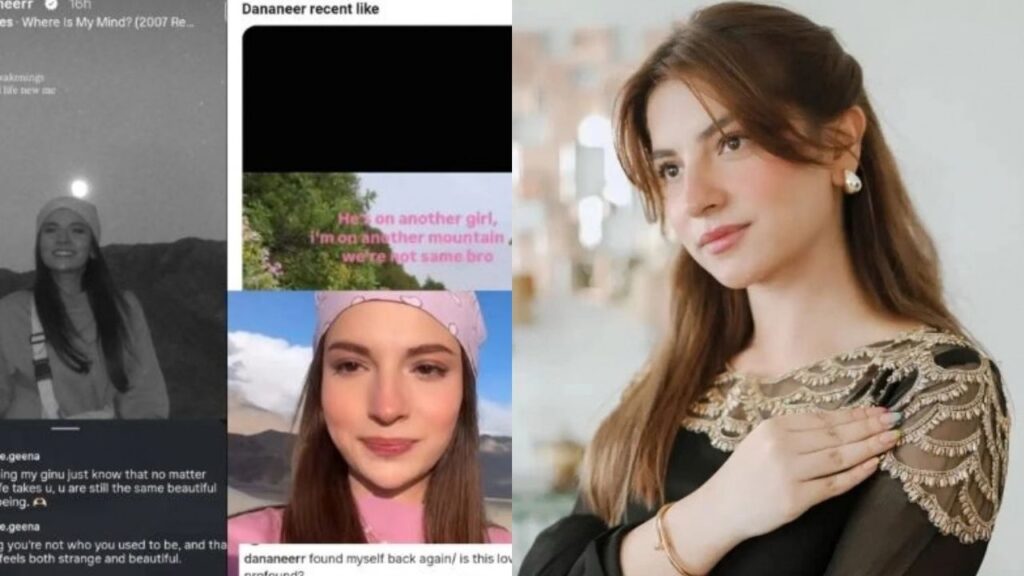 Dananeer Mobeen breakup rumours